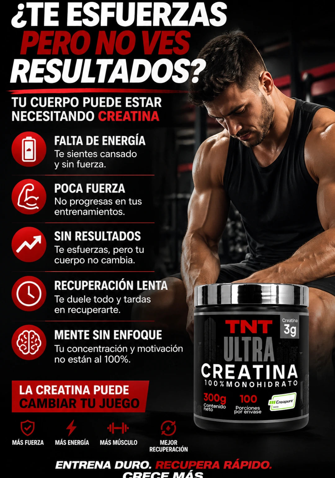 Creatina Monohidratada TNT Creapure 100 servicios