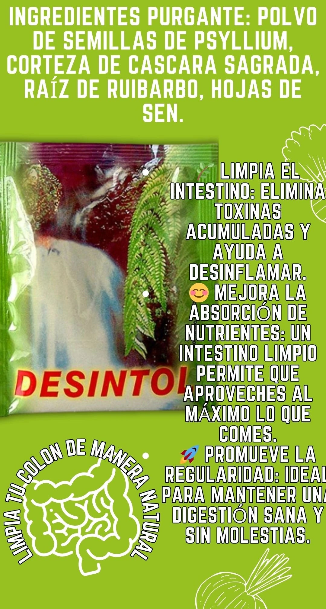 DESINTOL PURGANTE DR ROJAS