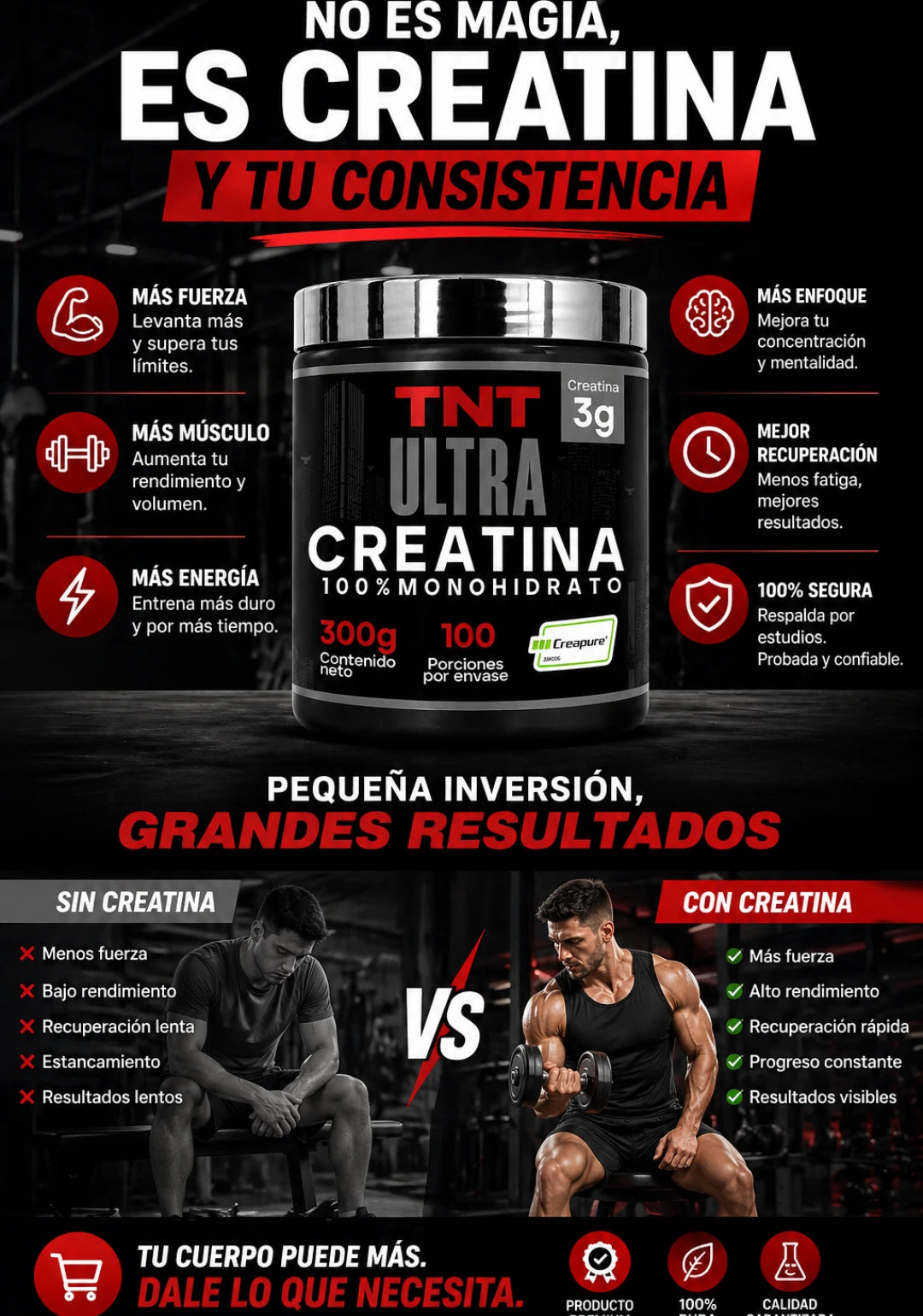 Creatina Monohidratada TNT Creapure 100 servicios
