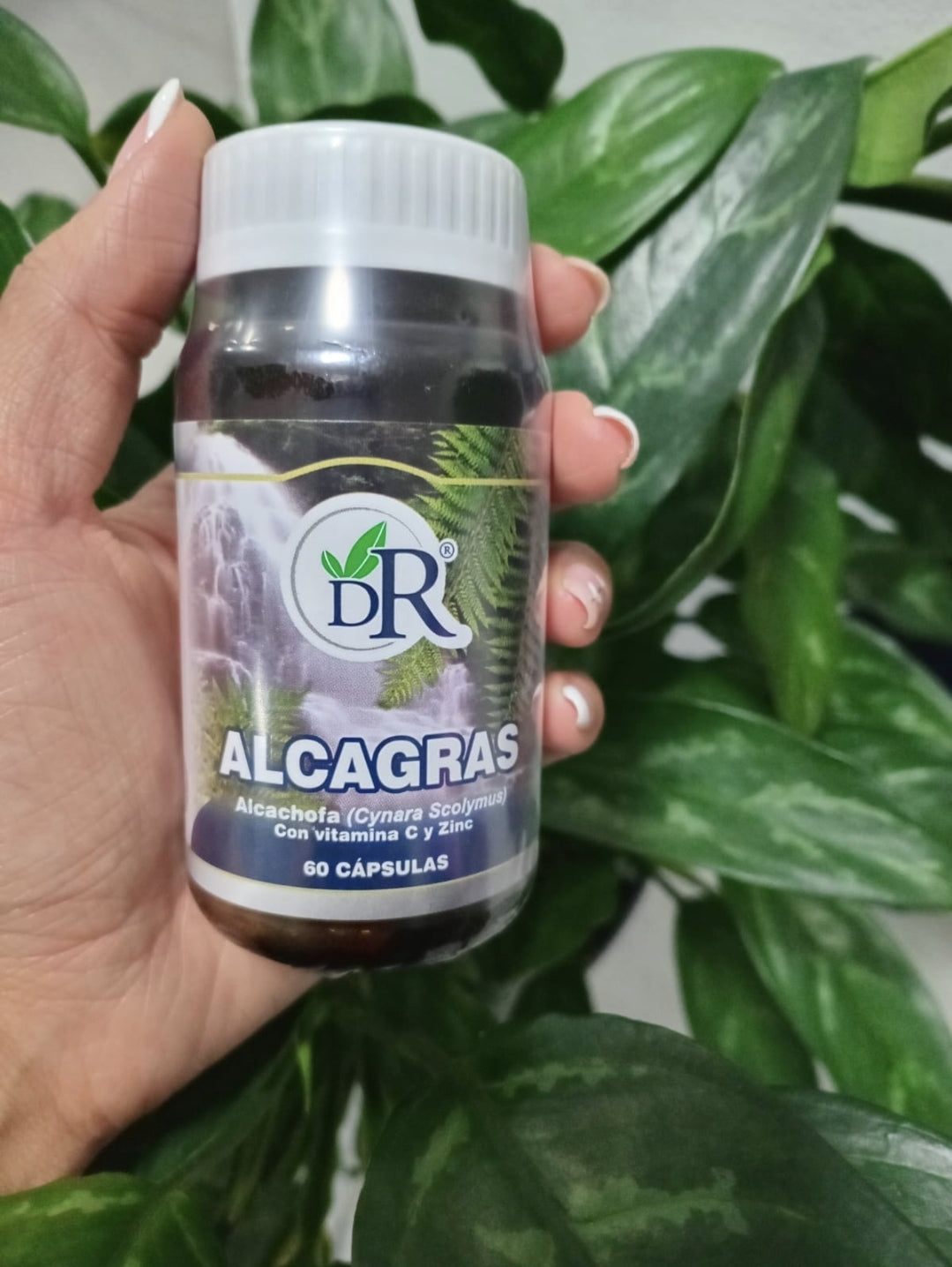 Alcagras Und