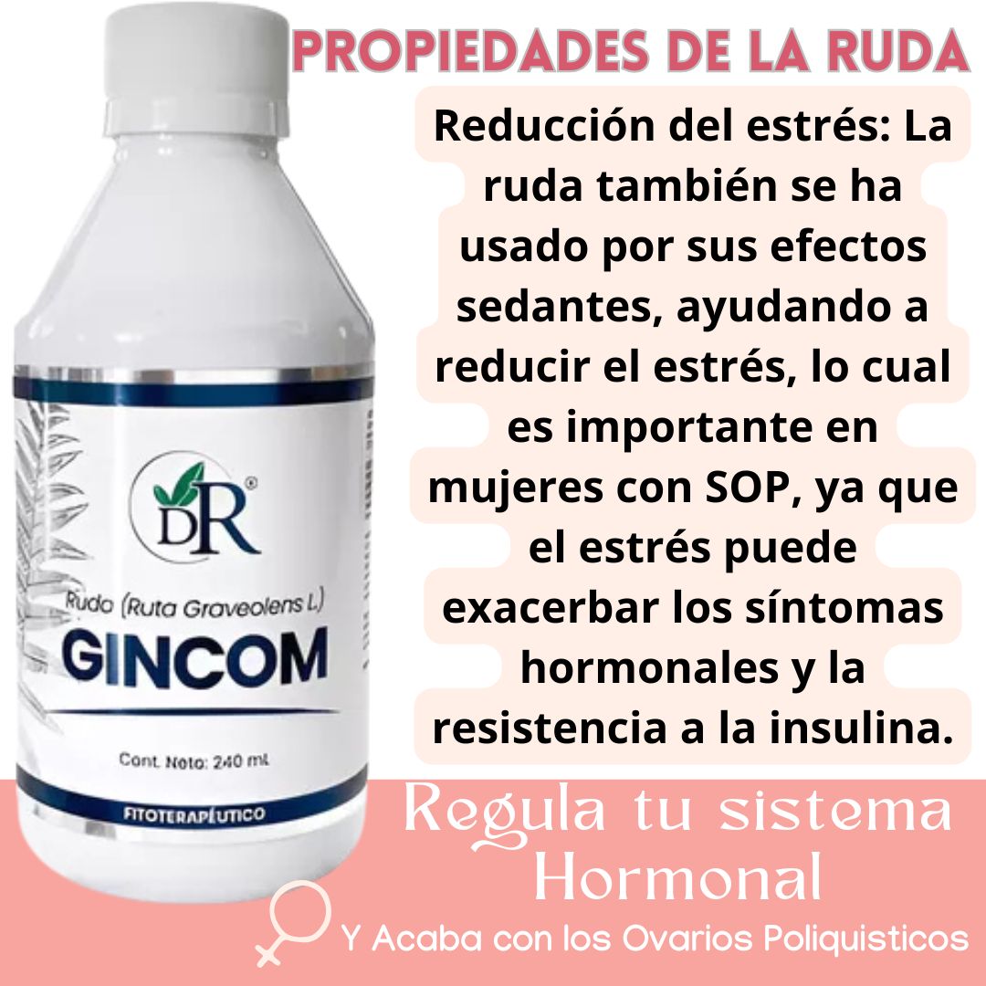 Jarabe  Gincom Ruda