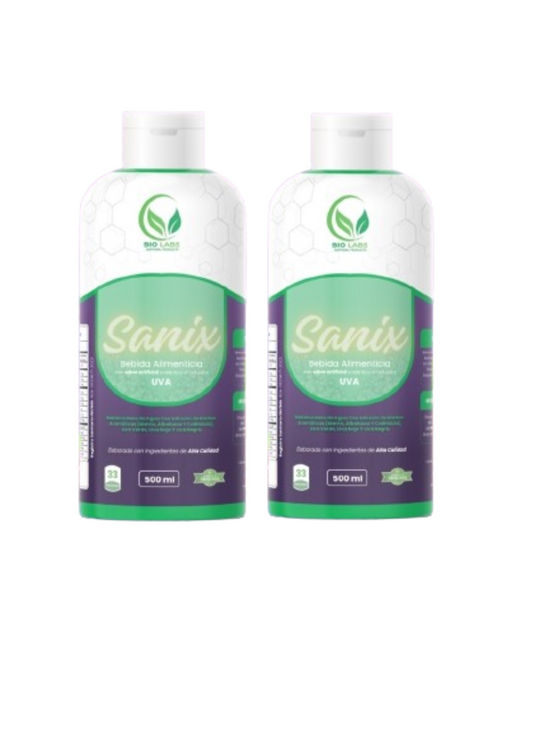 Sanix 2 Und
